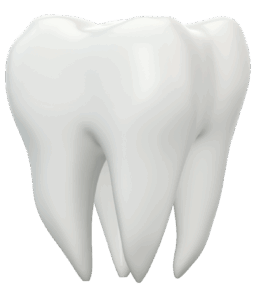 21449fa8261e1ff56f2a9c843961671b3c527350