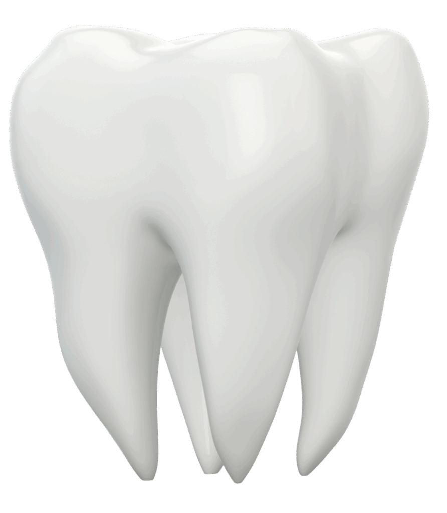 21449fa8261e1ff56f2a9c843961671b3c527350